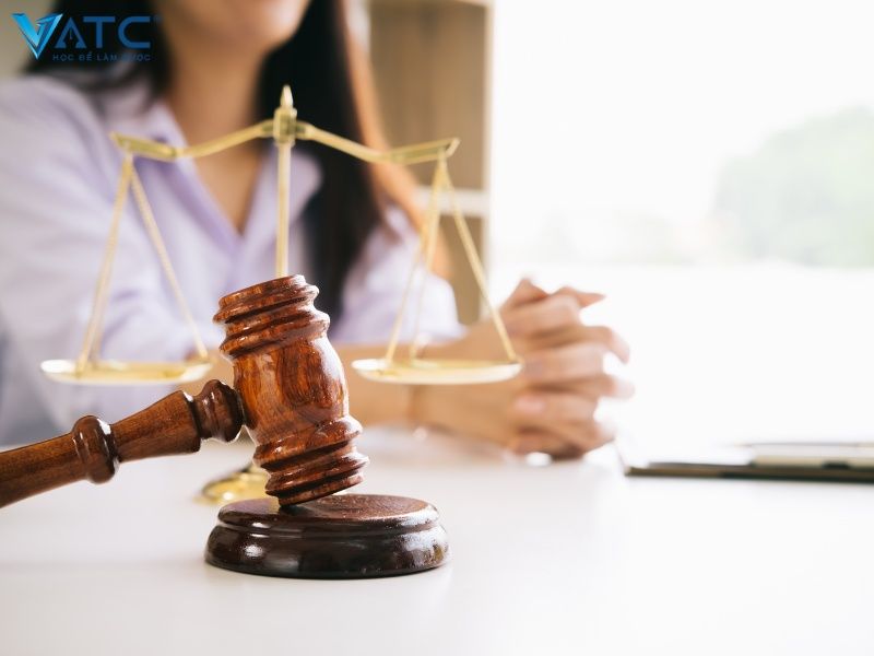 ngành luật là ngành cho người hướng ngoại