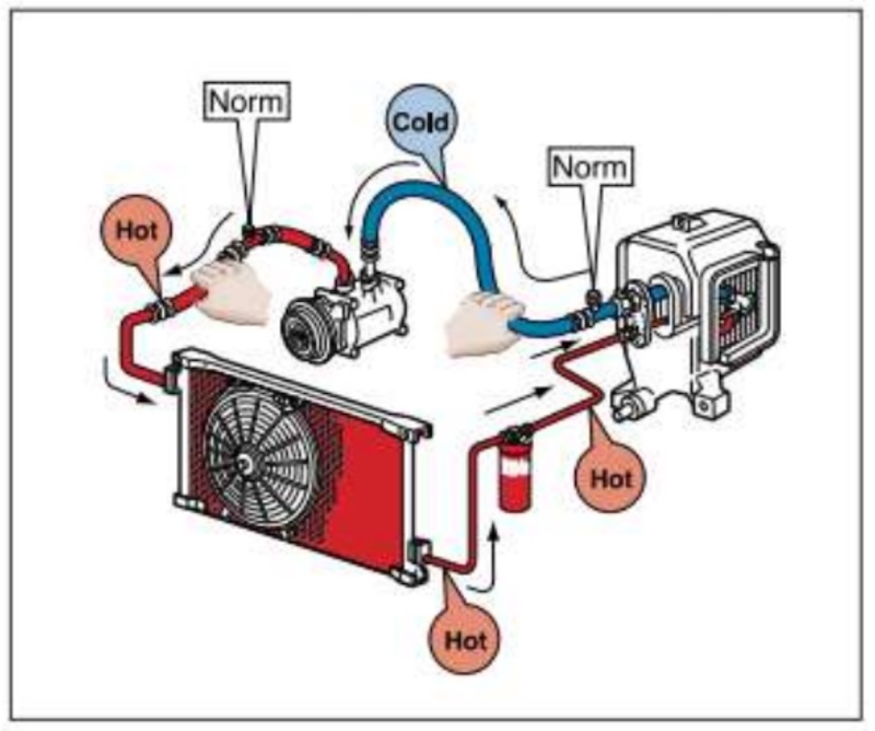 dùng phương pháp sờ ống để cảm nhận bằng xúc giác
