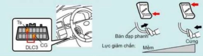 Kiểm tra điều khiển lực giảm chấn khi đạp-nhả phanh