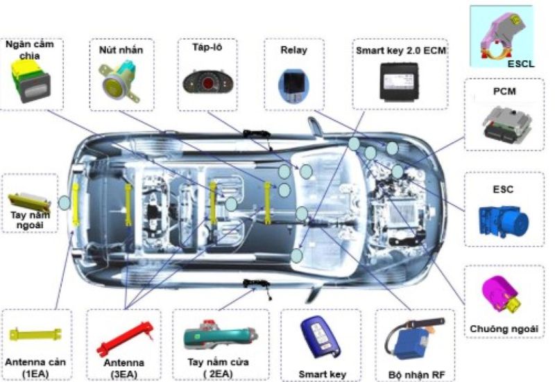 Sơ đồ bố trí các bộ phận