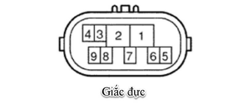 Sơ đồ chân giắc (giắc đực) của công tắc số trung gian trên xe Toyota Camry 2007