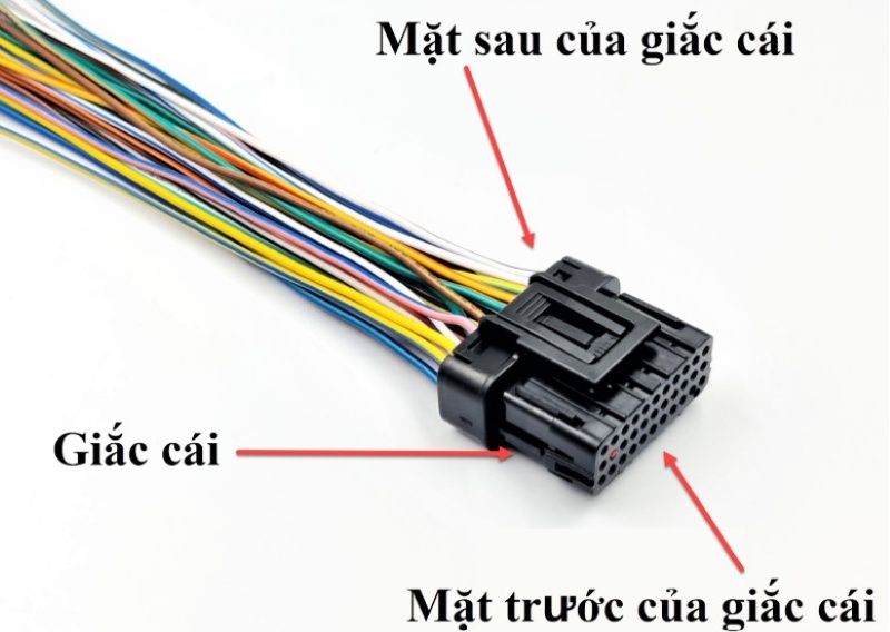 Hình 6 Phân biệt mặt trước và sau của giắc cái trên hộp ECM