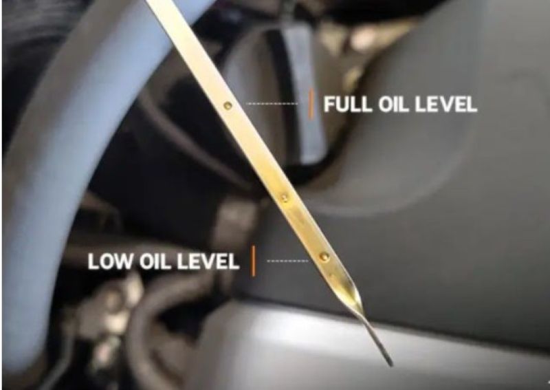 Mức dầu hộp số thấp