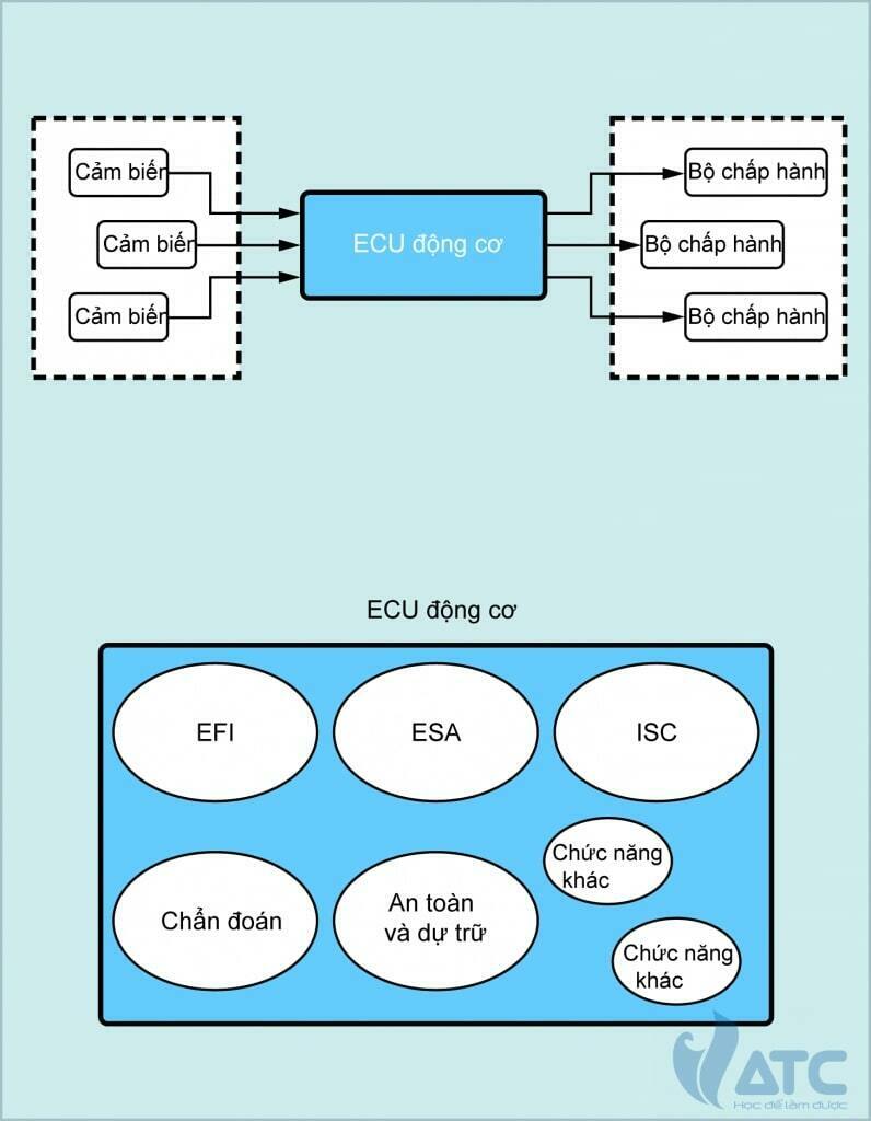 ECU là gì? Vai trò và chức năng chính của ECU trong hệ thống điện ô tô là gì?
