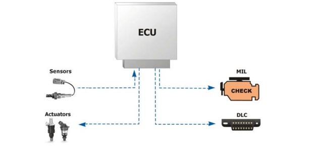 Những thông số và dữ liệu nào có thể được đọc và phân tích thông qua cổng OBD? 
