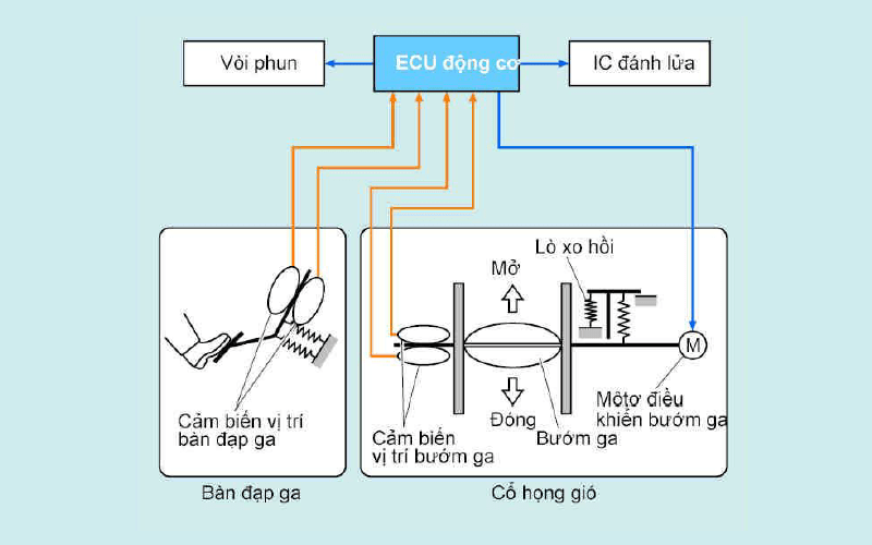 hệ thống điều khiển bướm ga điện tử ETCS-i