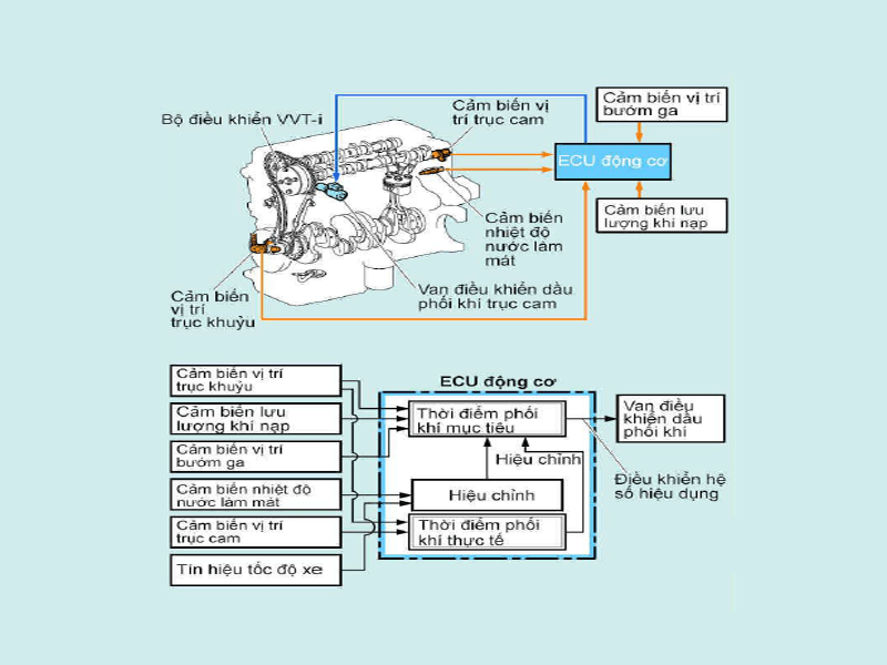 hệ thống VVT-i