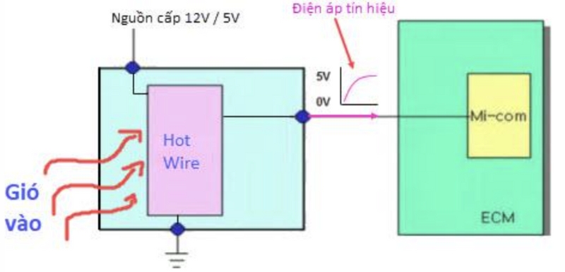 MAF loại Hot wire