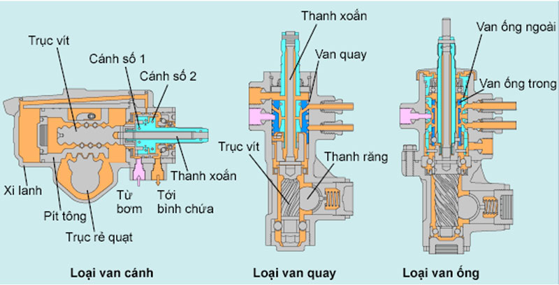 phân loại