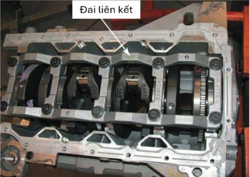 Đai liên kết