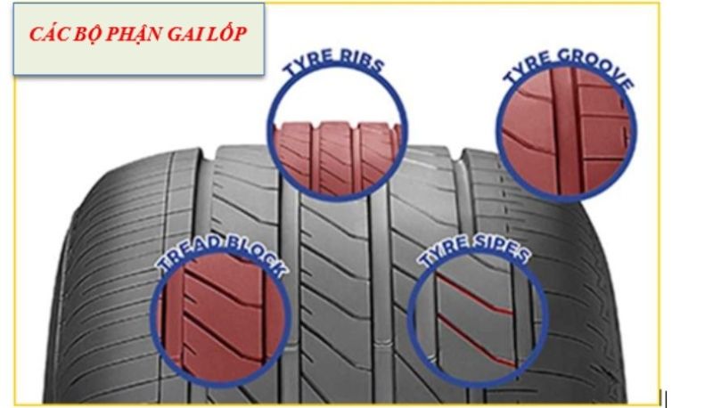 Các bộ phận của gai lốp