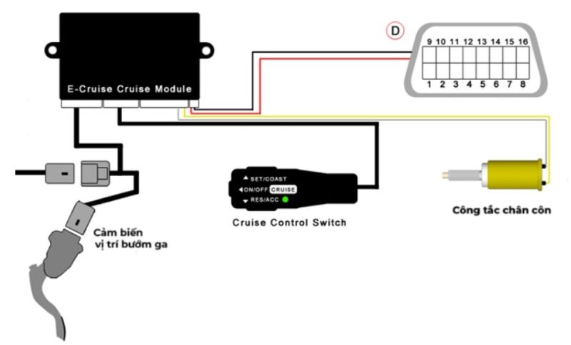 Các thành phần của hệ thống Cruise Control