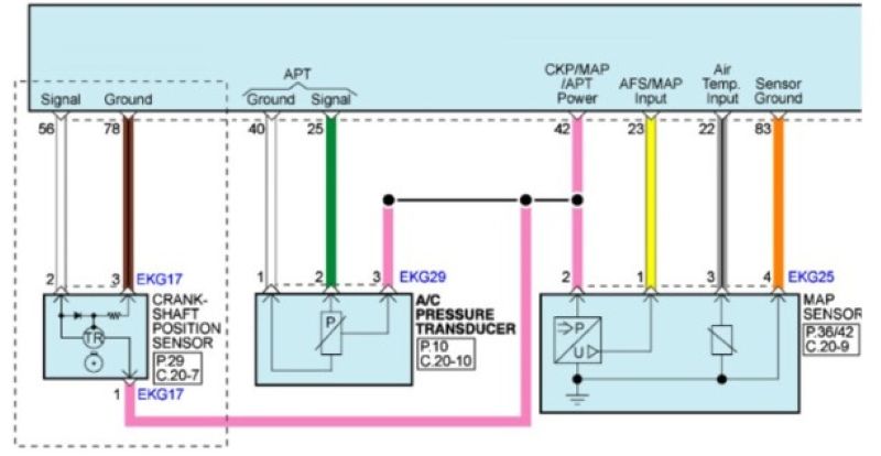 Hình 3. Sơ đồ mạch điện thực tế cảm biến trục khuỷu loại Hall trên xe KIA Sorento 2014