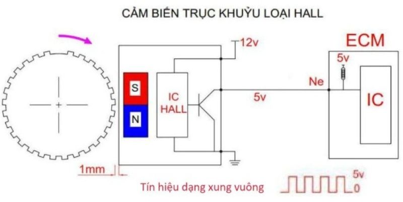 Hình 4. Xung tín hiệu của cảm biến loại Hall.