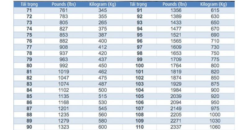 Bảng chỉ số tải trọng giới hạn tải trọng