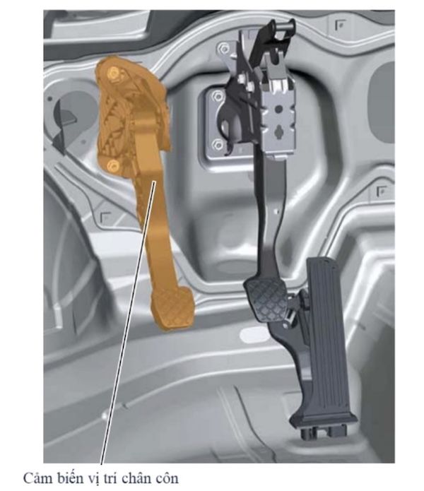 cảm biến vị trí chân côn