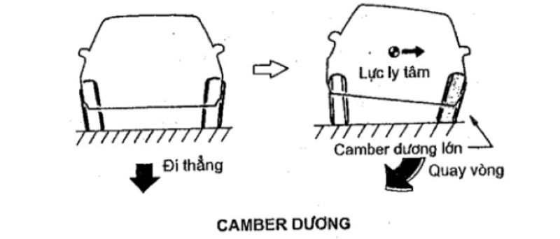 Camber dương