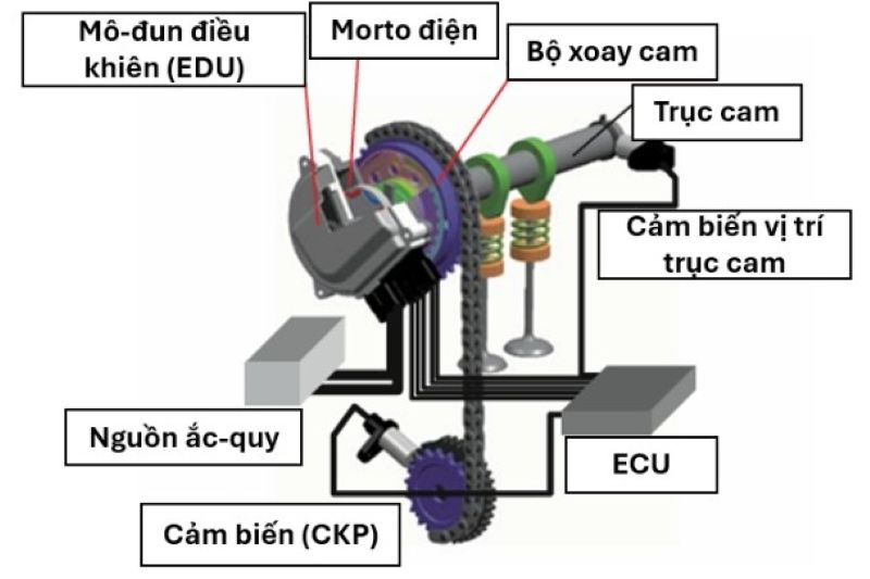 Cấu trúc hệ thống VVT-IE