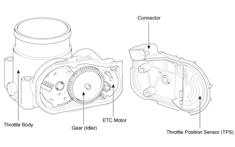 Cấu tạo bên trong bướm ga điện tử
