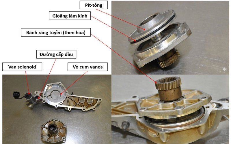 Cấu tạo cơ bản các chi tiết của Vanos đơn