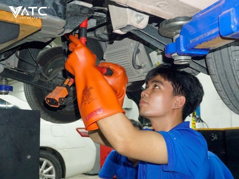 Chọn đúng nghề là khi công việc phù hợp với năng lực và con người của chính bạn