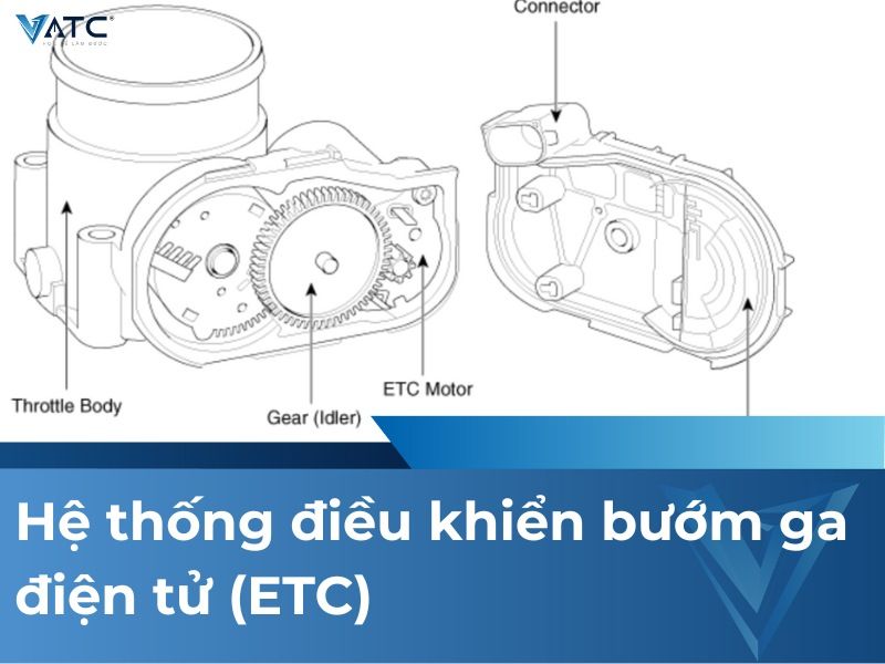 Hệ thống điều khiển bướm ga điện tử (ETC)